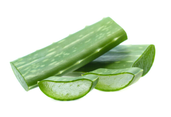 Aloe,sliced,,isolated,on,a,white,background